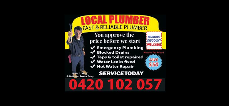 Local Plumber